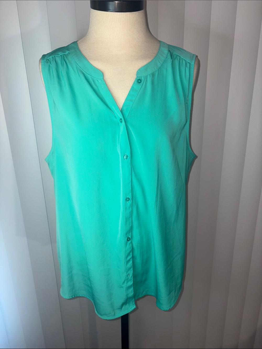 American Eagle Teal Laguna Green Sleeveless Button Front Blouse Top XL
